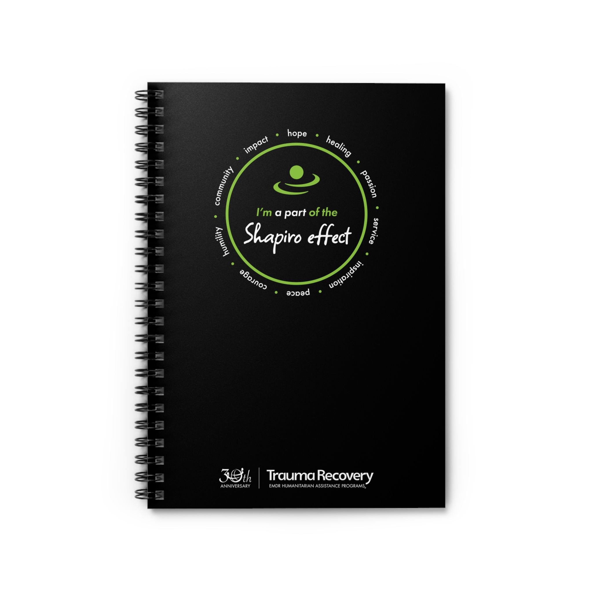 Shapiro Effect Spiral Notebook
