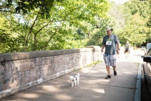 2022 EMDR Walk in the Park Recap