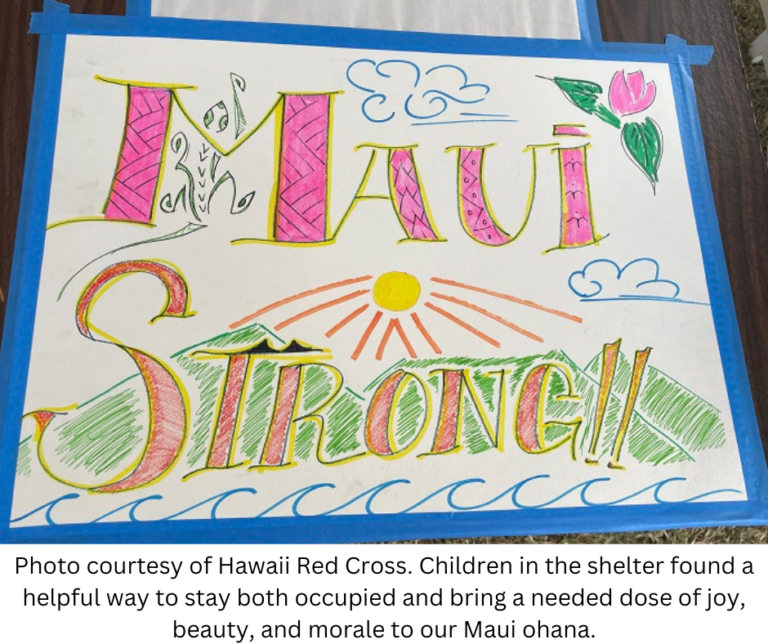 Drawing by a child that reads Maui Strong with flowers, mountains and sun.
