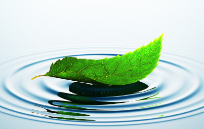 Green leaf floating on water, with a ring of ripples.