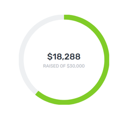Circle graph visually displaying $18,288 raised out of a goal of $30,000.